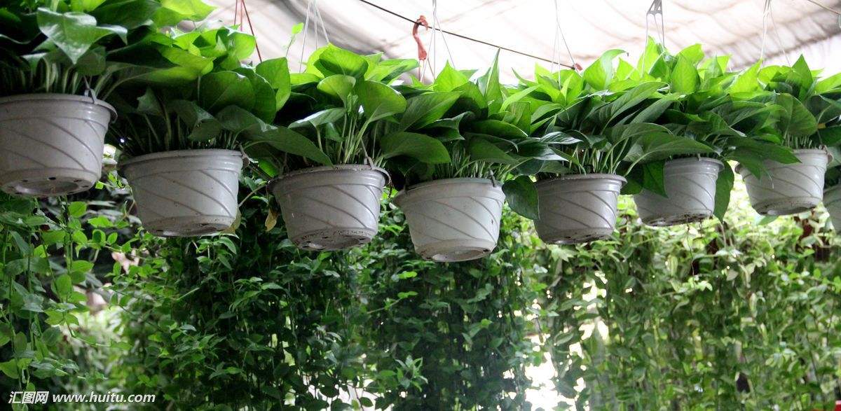 如何可以搞笑的去除貨架上的油漆味內(nèi)呢